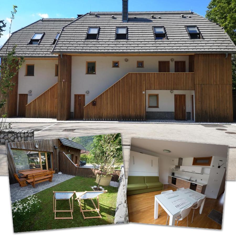 Alpin Apartment